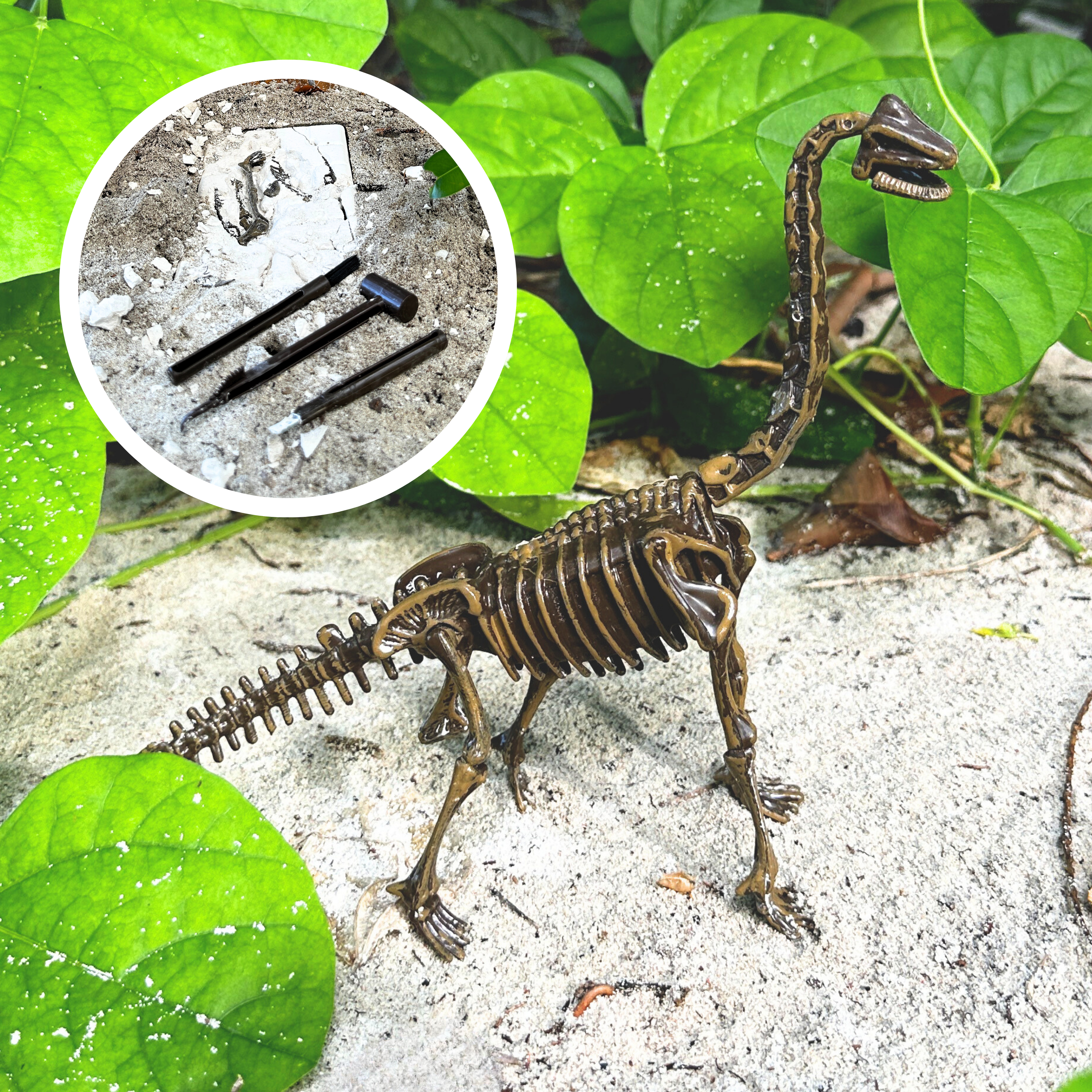 Dig & Assemble Dinosaur Fossil Kit - Archaeological Educational Toy For Kids 6+