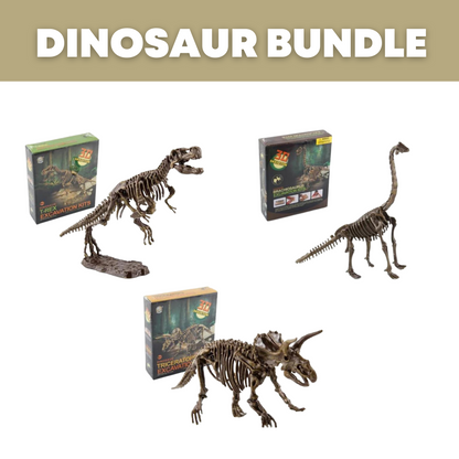 Dinosaur Excavation Kit