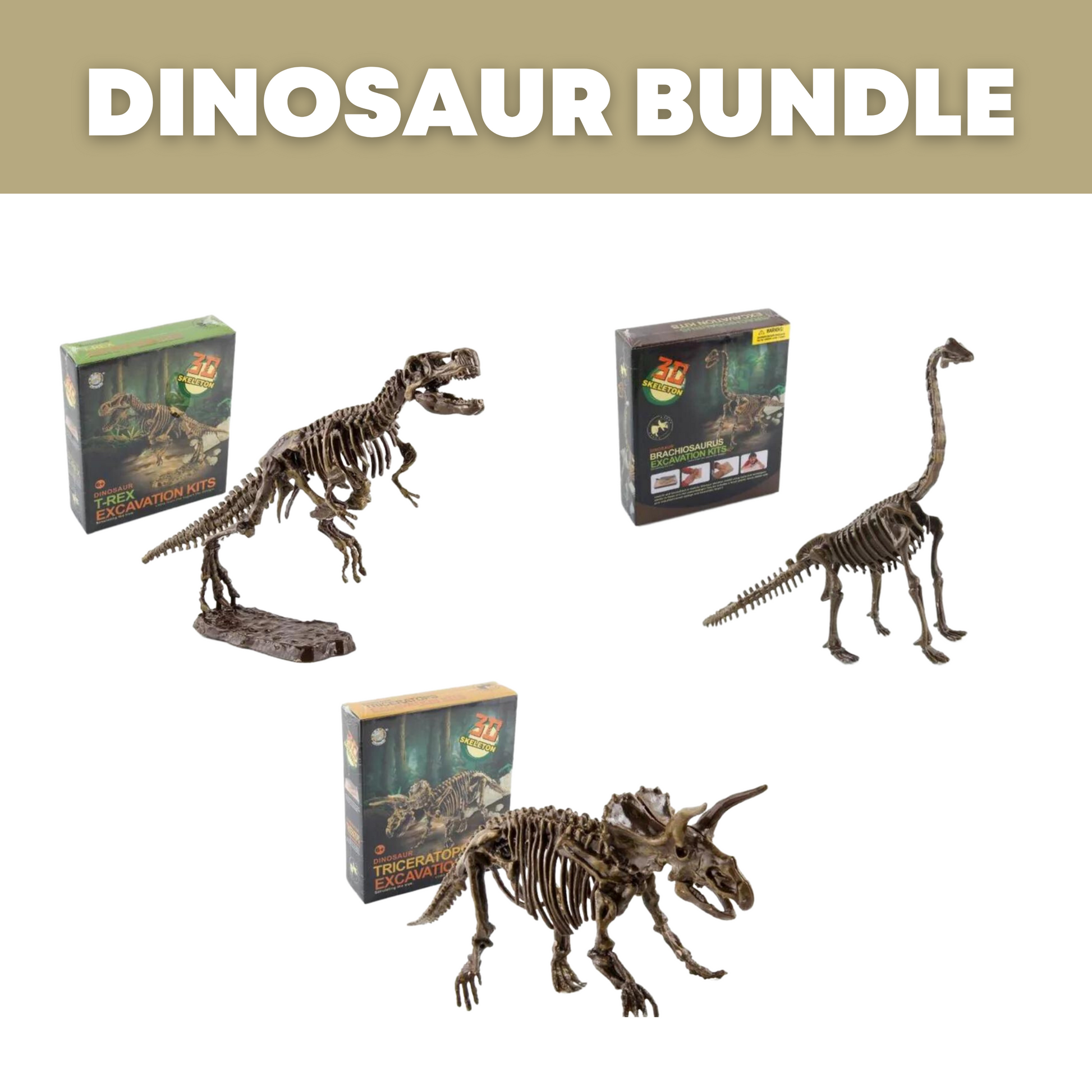 Dinosaur excavation toy sales