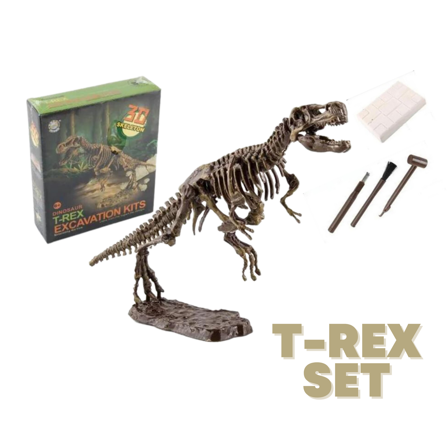 Dinosaur Excavation Kit