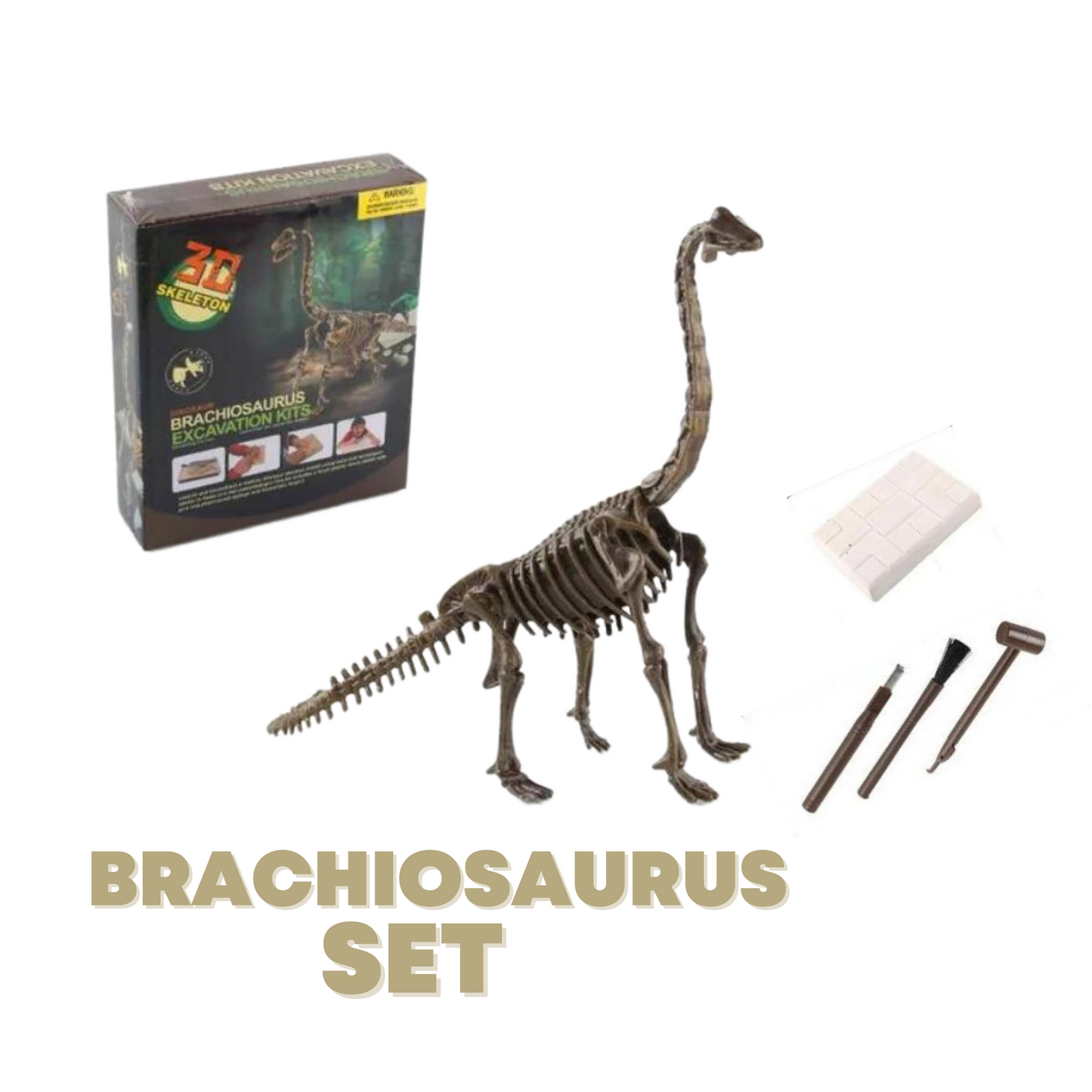 Dinosaur Excavation Kit