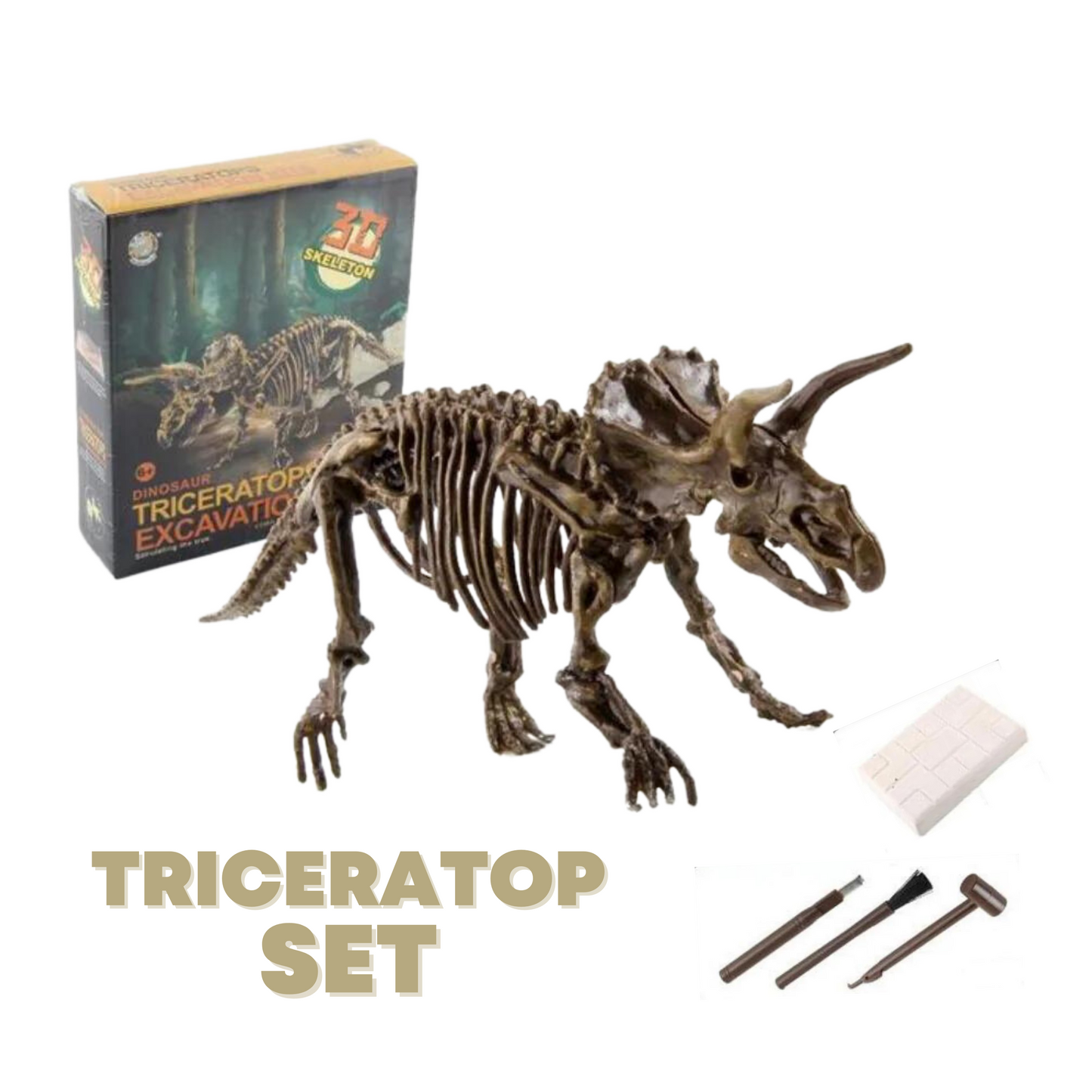 Dinosaur Excavation Kit