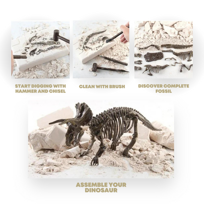 Dinosaur Excavation Kit