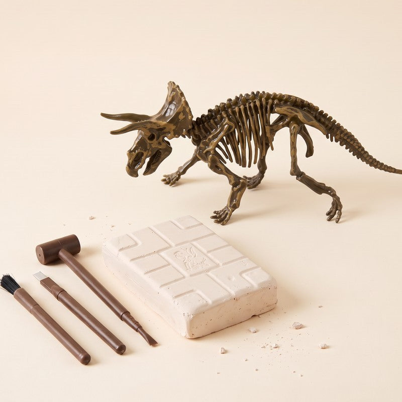 Triceratops