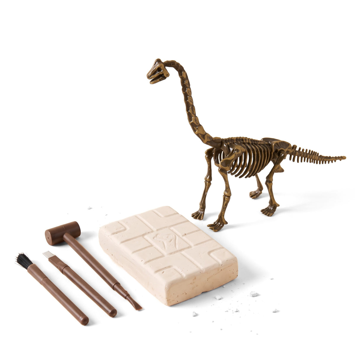 A built brachiosaurus skeleton model with its long neck, next to a plaster dig block, a mallet, a chisel and a brush