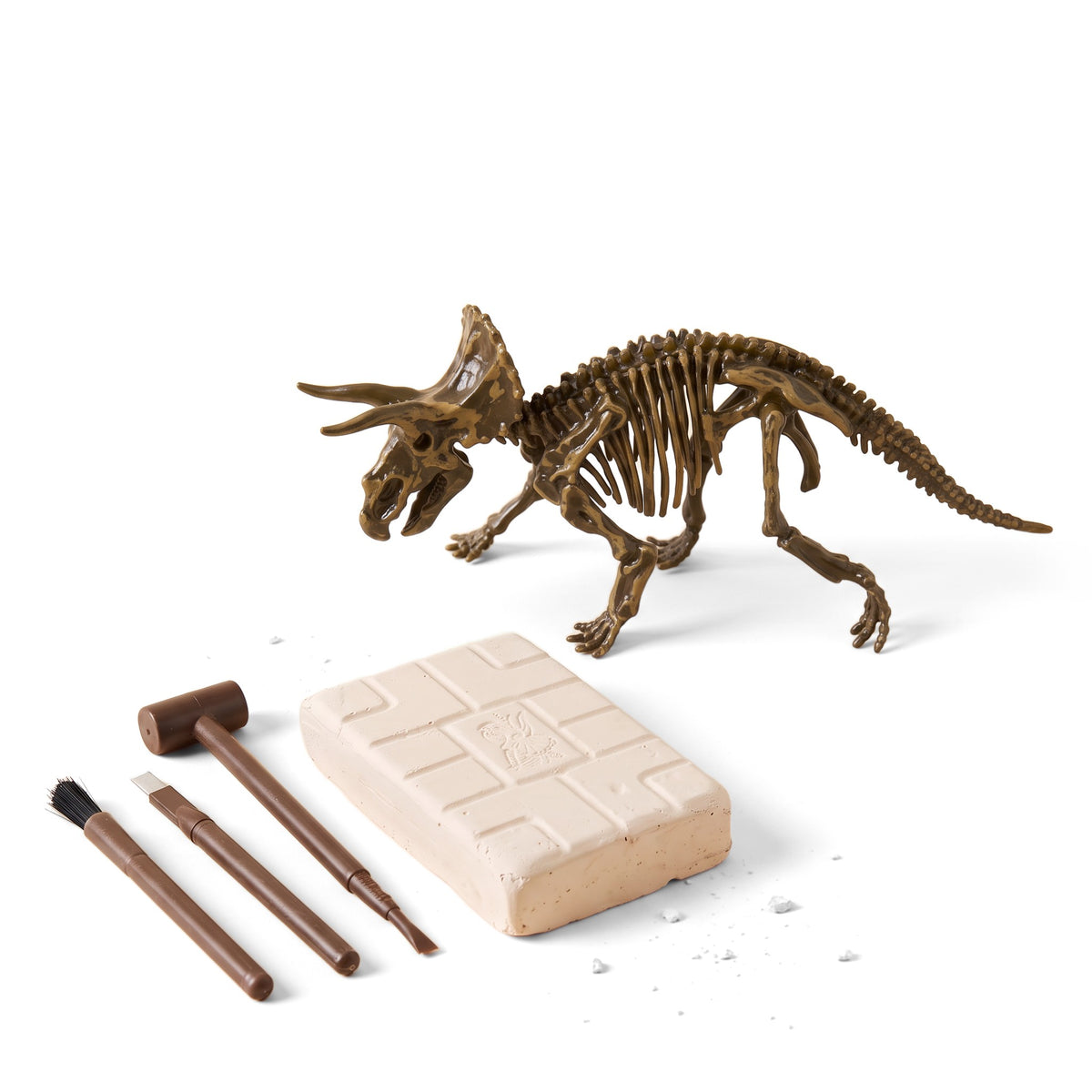 A built triceratops skeleton model with a plaster dig block, a mallet, a chisel and a brush