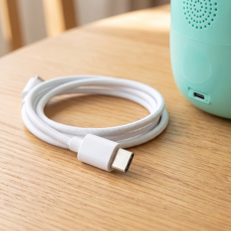 USB-C cable
