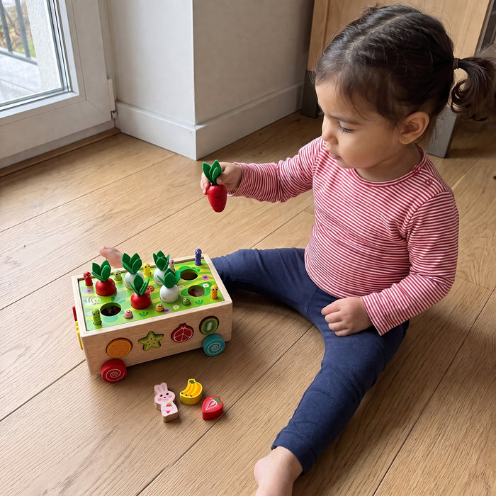A child playing with the Garden Shape Sorter