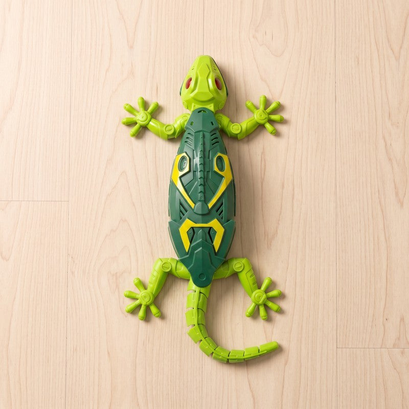 The lizard