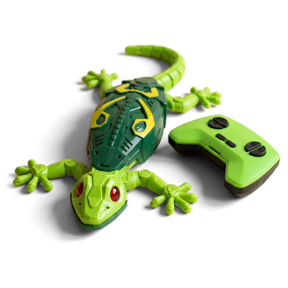 Wall-climbing Lizard