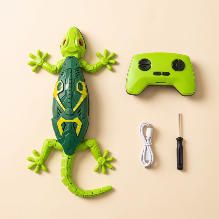 Everything that comes with the Wall-climbing Lizard