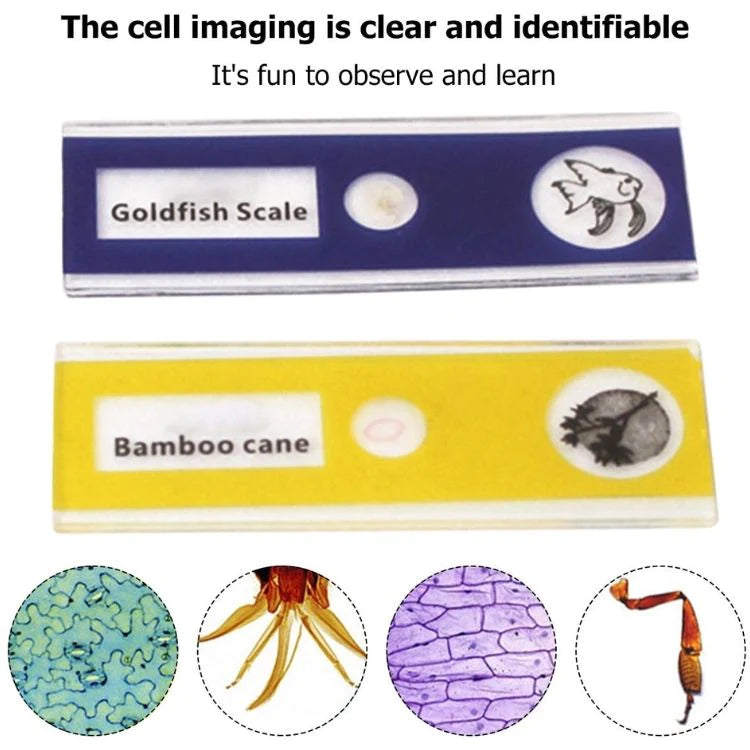 Pocket Microscope