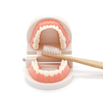 Tooth Brushing Trainer